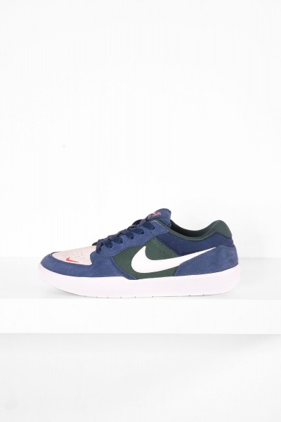 Nike SB Force 58 blau grün weiß online bestellen