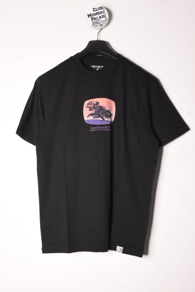 Carhartt WIP T-Shirt Seeds black online bestellen
